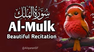 Most Beautiful Recitation Of Surah AlMulk  AlquranSF [upl. by Albie]