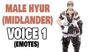 FFXIV Male Hyur Midlander Voice 1 Emotes [upl. by Stead]