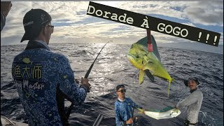 Le DCP est REMPLI de Dorades Coryphene  Pêche Exo à l’île de la Réunion [upl. by Effy]