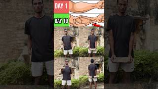 4 Essential Arm Exercises for Strength and Definition 💪 [upl. by Wil966]