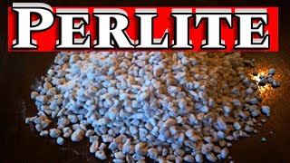 The Ultimate Guide to Perlite Benefits Uses and Drawbacks for Horticulture [upl. by Bandler]