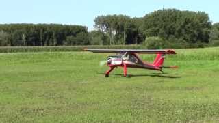 Wilga PZL104 Moki 250cc [upl. by Andreana]