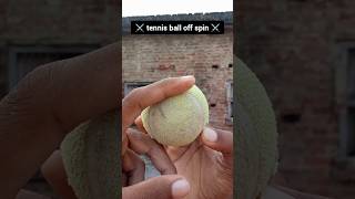 off spin 🥎 shorts offspin shortsfeed tennisball youtubeshorts shortvideo [upl. by Ansel]