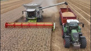 Moisson en Claas Trion 750  Fendt 724x2  942 amp Horsch [upl. by Irreg]