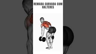 remada curvada com halteres [upl. by Sheilah136]