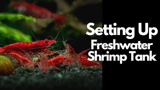 How To Setup A Freshwater Shrimp Tank 🦐 [upl. by Etti]