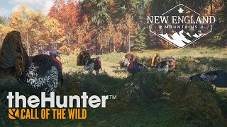 Cazando Pavos Salvaje  TheHunter CotW [upl. by Salomon]