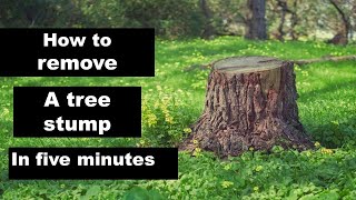 how to remove tree stumps easily SelfMade Tricks with a Crowbar machete and digging fork [upl. by Ellene114]