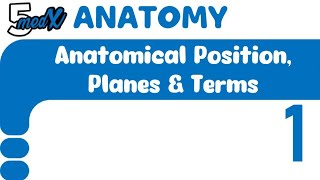 Lecture 1  anatomical position planes amp terms  Mcqs [upl. by Nachison548]