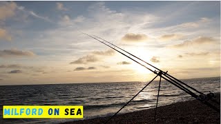 Beach Fishing  Milford on Sea  Gurnard and Bream [upl. by Nallid]