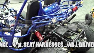 Trailmaster XRS 150 Buggy  GoKartNow With Upgraded 5Point Harness  Motobuys [upl. by Rheims568]