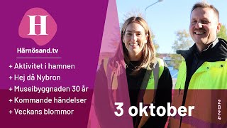 Härnösandtv  3 oktober 2024 [upl. by Asuncion]