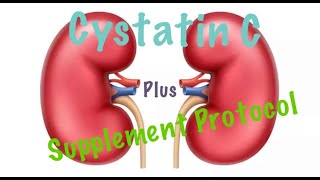 Cystatin C and Bonus Supplement Protocol [upl. by Dowski]