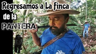 Regresamos a La Finca de La Pantera [upl. by Redmer580]