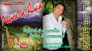 NELUTA BUCUR  Bujorel sio garofita  Sarba instrumental live 2014 [upl. by Aym]