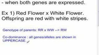 Genetics  6  Codominance  Sci 10 May30 [upl. by Jennilee]