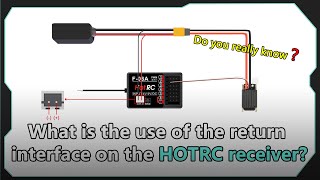 What is the socket on the HOTRC receiver for❓❓ [upl. by Milena]