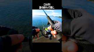 真夏のライトショアジギング ワカシ ツバス ライトショアジギング 若狭湾 日本海 fishing 魚釣り [upl. by Rihana]