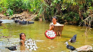 Harvesting goose eggs at the farm to sell at the market  Cook delicious meals with your daughter [upl. by Nivri486]