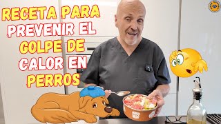 🐶 RECETA PARA PREVENIR EL GOLPE DE CALOR EN PERROS 🐶 [upl. by Rosdniw737]