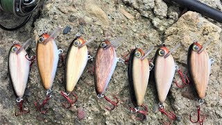 Testing Different Woods for CrankBaits [upl. by Malvia]