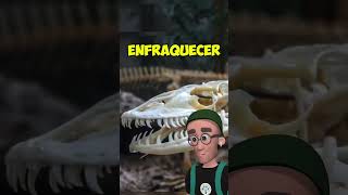 dragaodekomodo reptil lagarto vidaanimal biologia animais bicho zoologia vocesabia [upl. by Wolliw]