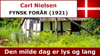 Carl Nielsen  Fynsk Forår  Den milde dag er lys og lang [upl. by Huesman149]