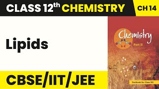 Class 12 Chemistry Chapter 14  Lipids  Biomolecules [upl. by Hamner]