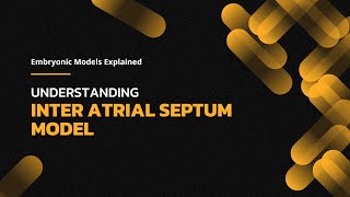 Understanding Interatrial Septum Development Exploring the Path to a Strong Heart [upl. by Sutphin]