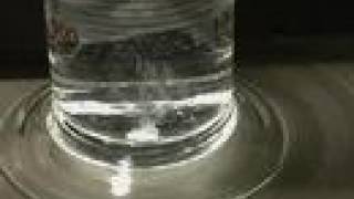 CALCIUM METAL produces hydrogen gas in water [upl. by Idnaj]