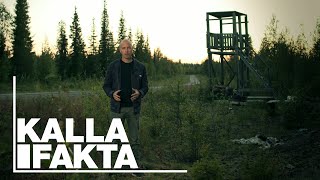 Kalla Fakta Lappjävlar  TV4 [upl. by Eidoow62]