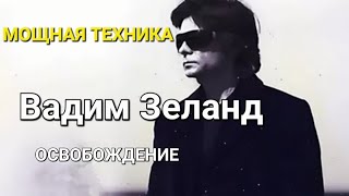 Вадим Зеланд Трансерфинг реальности 10 день  Освобождение [upl. by Idalina]