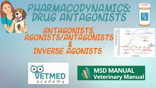 Drug Antagonists AgonistAntagonists and Inverse Agonists [upl. by Nnainot377]