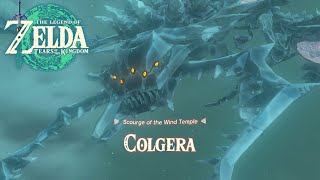 Colgera Boss Battle  The Legend of Zelda Tears Of The Kingdom [upl. by Itsirc735]