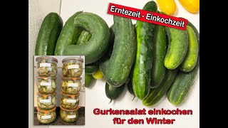 Erntezeit  Einkochzeit Gurkensalat einkochen für den Winter [upl. by Marita659]