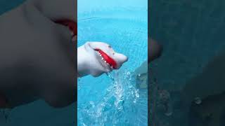 Shark Puppet Takes On The FREEZING POOL CHALLENGE subscribe shorts sharkpuppet [upl. by Oir]