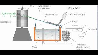 Spirometer Descriptionavi [upl. by Mikal997]