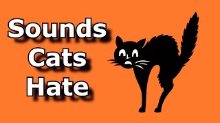 SOUNDS CATS HATE  Sound To Scare Cats and Dogs  Ultrasonic Alarm To Scare Off Animals [upl. by Anol]