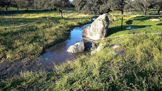 Flowing Seasonal Creek [upl. by Kaela]