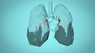 WHO Breathe Life  How air pollution impacts your body [upl. by Herries704]