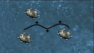 WSO Water Treatment Grade 1 Coagulation amp Flocculation Ch 8 [upl. by Schriever]