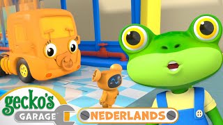 Regenboogverstoppertje  Geckos Garage Nederlands  Vrachtwagen Cartoons Voor Kinderen [upl. by Wilbert684]