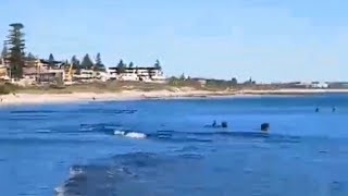 COTTESLOE BEACH PERTH WESTERN AUSTRALIA [upl. by Ailito951]