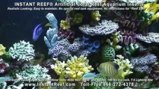 Artificial Corals for Aquariums for saltwater amp freshwater fish tanks [upl. by Nuzzi]