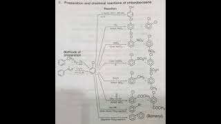 Preparation and reactions of chlorobenzene flowchart 🧪🔵⚗️ biologychemistrynoteschemistryclass12 [upl. by Isdnil]