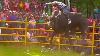 Este toro fue el DOLAR uno de los mejores toros de todo México y USA Rancho el Aguaje [upl. by Auqenaj10]