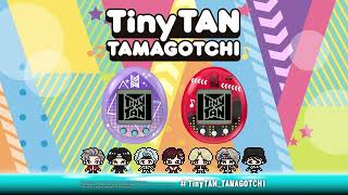 TinyTAN Tamagotchi [upl. by Hyrup]