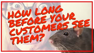 Restaurant Rat Removal infested Vendors Backdoor Oven Melbourne [upl. by Ela198]