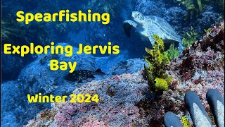 Spearfishing Exploring Jervis Bay Offshore Winter 2024 [upl. by Niarda]