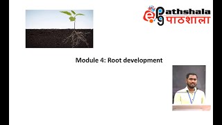 Module 4 Root Development EPGPathshala [upl. by Nuahsyar308]